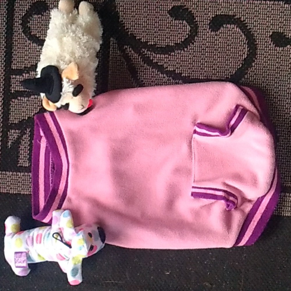 Dog Pullover Sweater & 2 Squeaky Toys